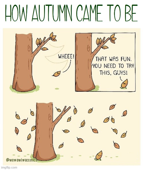 Why do you think they call it FALL? | image tagged in vince vance,leaf,leaves,autumn leaves,fall,comics/cartoons | made w/ Imgflip meme maker