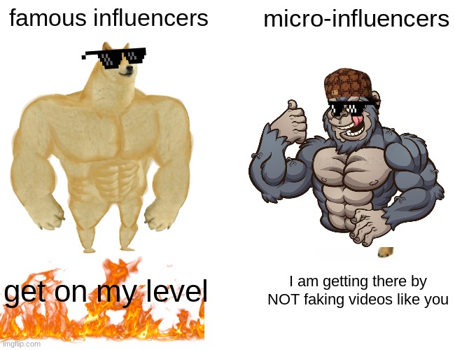 Buff Doge vs. Cheems Meme | famous influencers; micro-influencers; get on my level; I am getting there by NOT faking videos like you | image tagged in memes,buff doge vs cheems | made w/ Imgflip meme maker