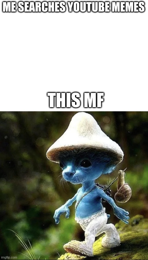 ME SEARCHES YOUTUBE MEMES; THIS MF | image tagged in smurf cat | made w/ Imgflip meme maker