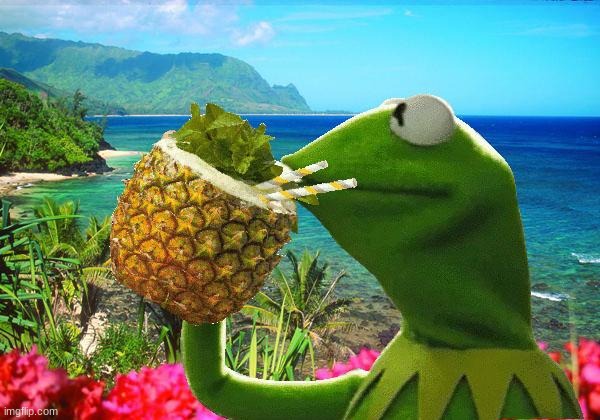 vacation kermit | image tagged in vacation kermit | made w/ Imgflip meme maker