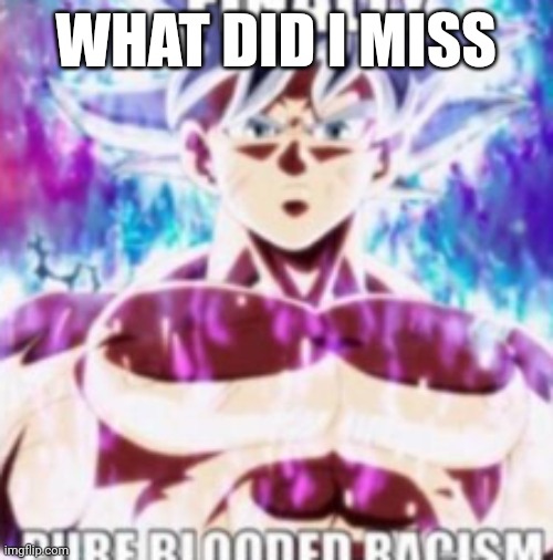 finally pure blooded racism | WHAT DID I MISS | image tagged in finally pure blooded racism | made w/ Imgflip meme maker