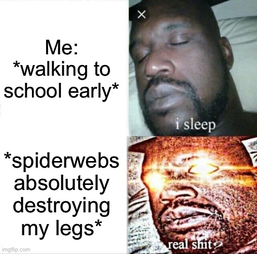 It feels so horrible | Me: *walking to school early*; *spiderwebs absolutely destroying my legs* | image tagged in memes,sleeping shaq | made w/ Imgflip meme maker