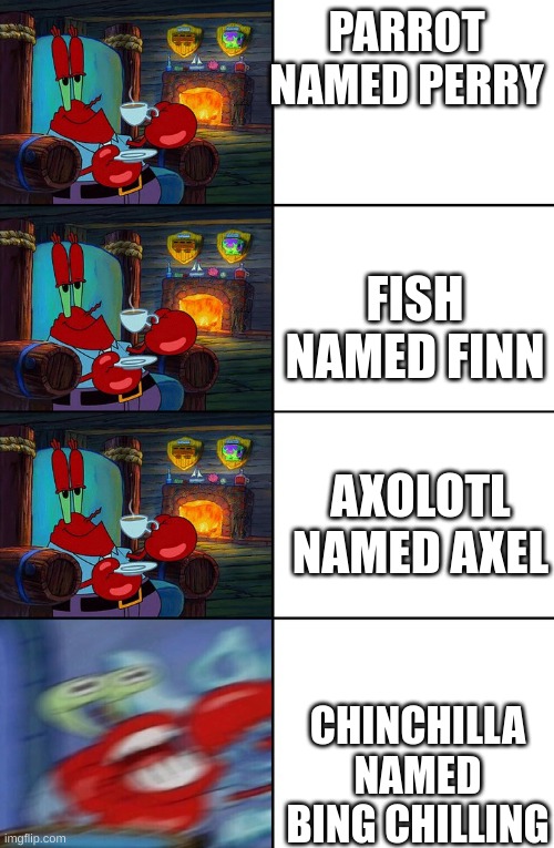 dont eat bing chilling! | PARROT NAMED PERRY; FISH NAMED FINN; AXOLOTL NAMED AXEL; CHINCHILLA NAMED BING CHILLING | image tagged in shocked mr krabs | made w/ Imgflip meme maker