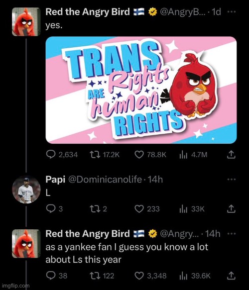 HOLY SHIT YOU ***KIN KILLED HIM DUDE | image tagged in angry birds,why are you reading the tags,well this is awkward,kys | made w/ Imgflip meme maker