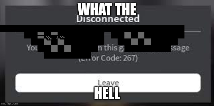 Roblox Ban message | WHAT THE; HELL | image tagged in roblox ban message | made w/ Imgflip meme maker