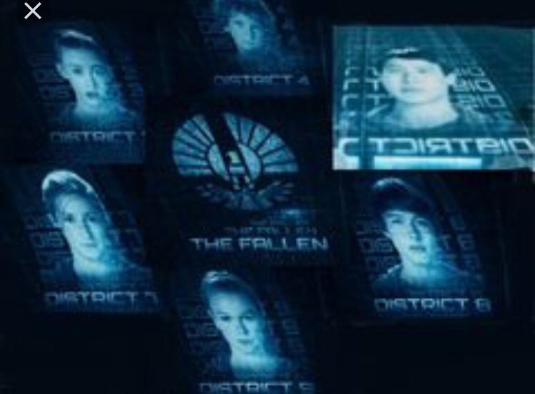 Hunger Games The Fallen Template