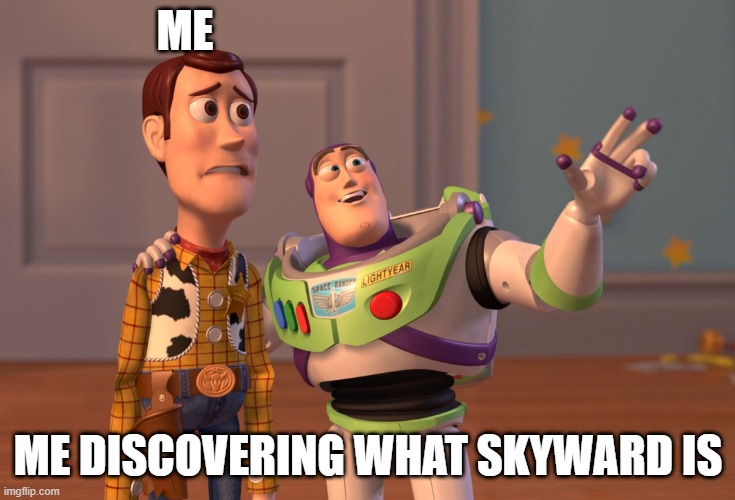 X, X Everywhere | ME; ME DISCOVERING WHAT SKYWARD IS | image tagged in memes,x x everywhere | made w/ Imgflip meme maker