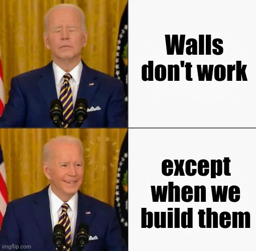 Brandon and Joe Bling | Walls don't work except when we build them | image tagged in brandon and joe bling | made w/ Imgflip meme maker