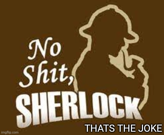 No shit sherlock | THATS THE JOKE | image tagged in no shit sherlock | made w/ Imgflip meme maker