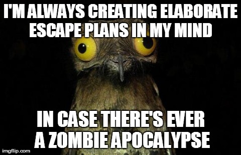 Weird Stuff I Do Potoo Meme | I'M ALWAYS CREATING ELABORATE ESCAPE PLANS IN MY MIND  IN CASE THERE'S EVER A ZOMBIE APOCALYPSE | image tagged in memes,weird stuff i do potoo | made w/ Imgflip meme maker