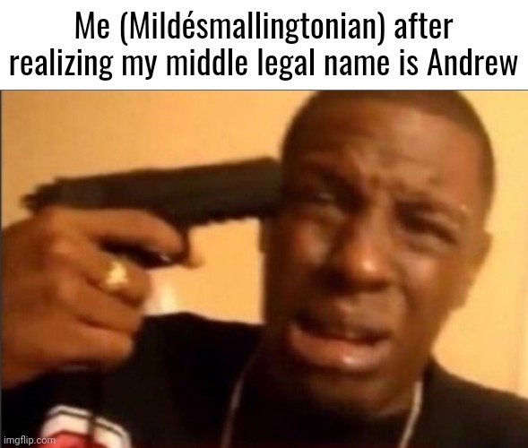 Me (Mildésmallingtonian) after realizing my middle legal name is Andrew | made w/ Imgflip meme maker