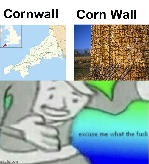 cornwall vs corn wall innit bruv | image tagged in excuse me what the fuck,so true memes,lol so funny | made w/ Imgflip meme maker