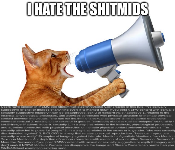 Cat With megaphone | I HATE THE SHITMIDS | image tagged in cat with megaphone | made w/ Imgflip meme maker