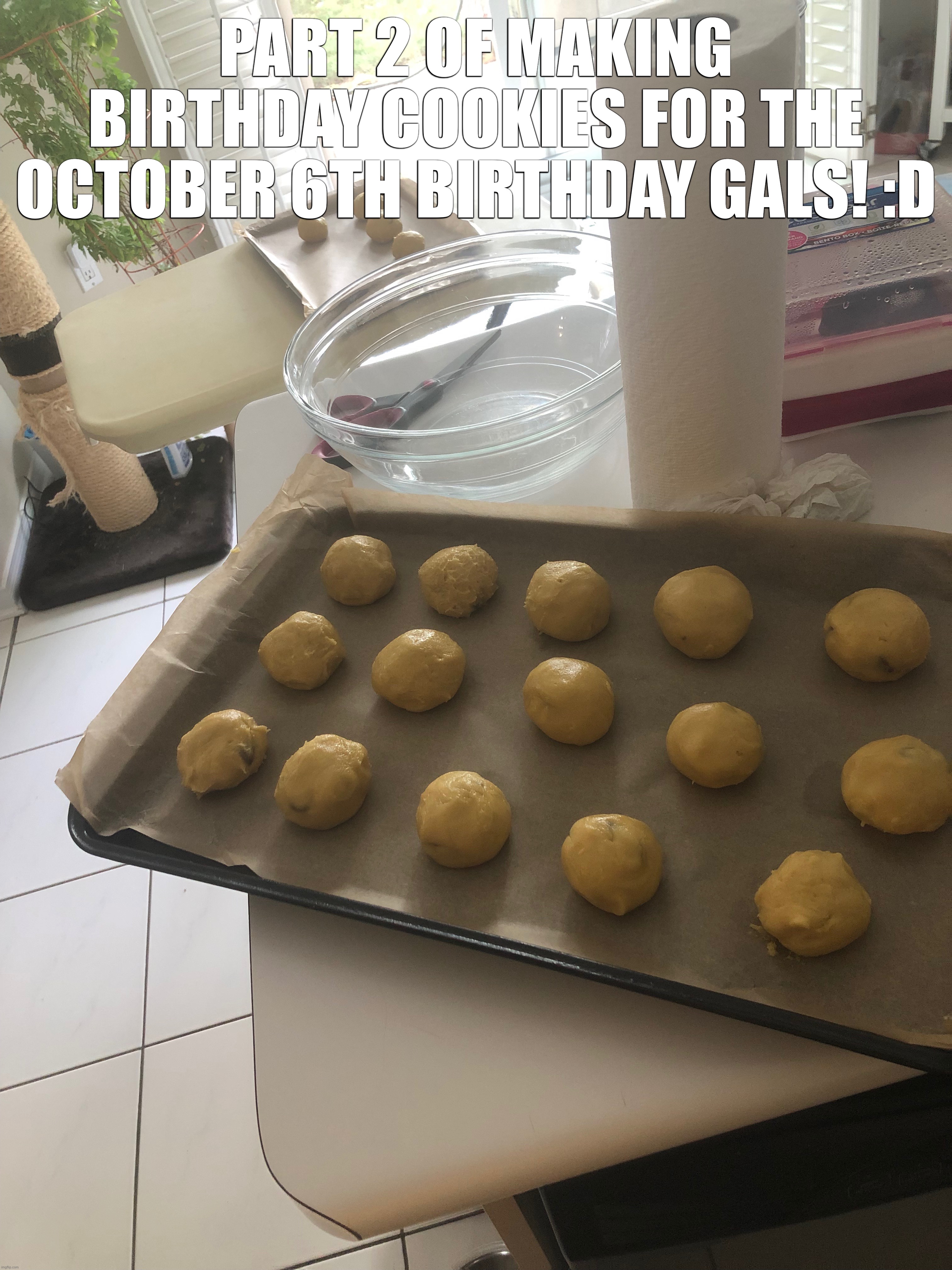 Part 3 coming soon! | PART 2 OF MAKING BIRTHDAY COOKIES FOR THE OCTOBER 6TH BIRTHDAY GALS! :D | made w/ Imgflip meme maker