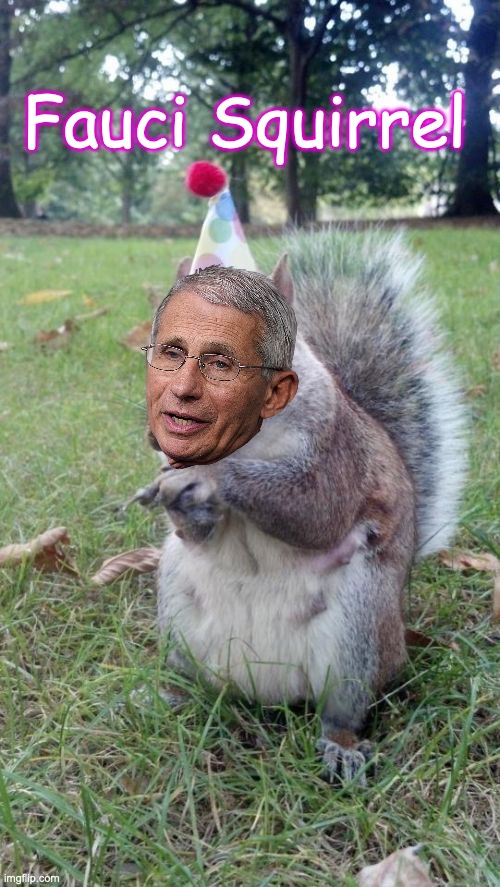 Super Birthday Squirrel Meme | Fauci Squirrel | image tagged in memes,super birthday squirrel | made w/ Imgflip meme maker