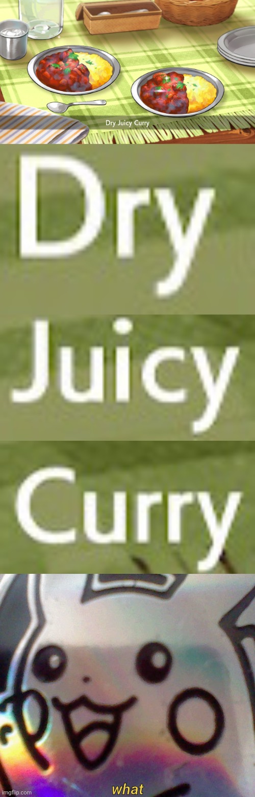 dry juicy curry | what | image tagged in dry juicy curry | made w/ Imgflip meme maker