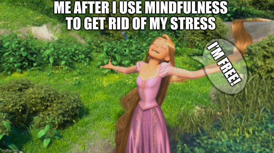 Rapunzel Tangled | ME AFTER I USE MINDFULNESS TO GET RID OF MY STRESS; I’M FREE! | image tagged in rapunzel tangled | made w/ Imgflip meme maker