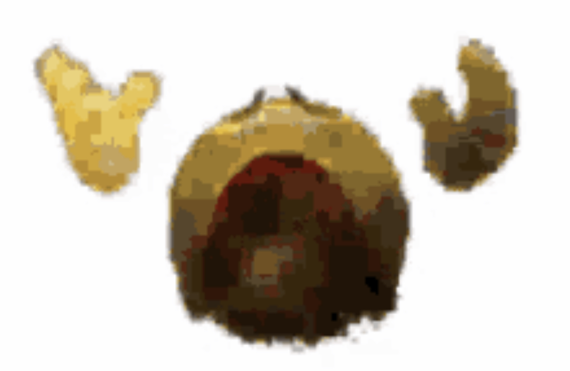 Dead Blank Meme Template