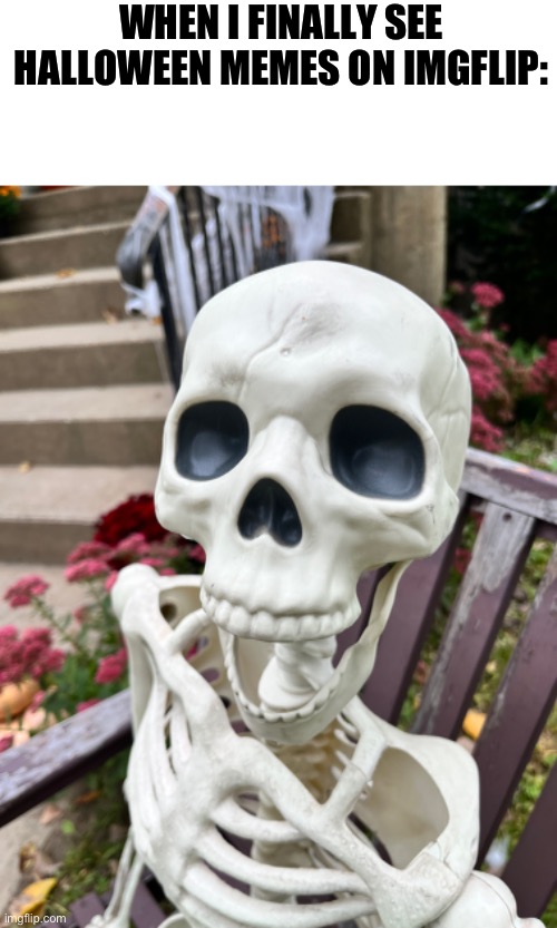 WHEN I FINALLY SEE HALLOWEEN MEMES ON IMGFLIP: | image tagged in spooktober | made w/ Imgflip meme maker
