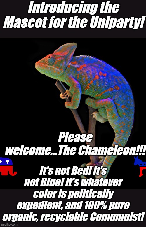 How long can any political party exist without a Mascot? | Introducing the Mascot for the Uniparty! Please welcome...The Chameleon!!! It's not Red! It's not Blue! It's whatever color is politically expedient, and 100% pure organic, recyclable Communist! | image tagged in chameleon | made w/ Imgflip meme maker