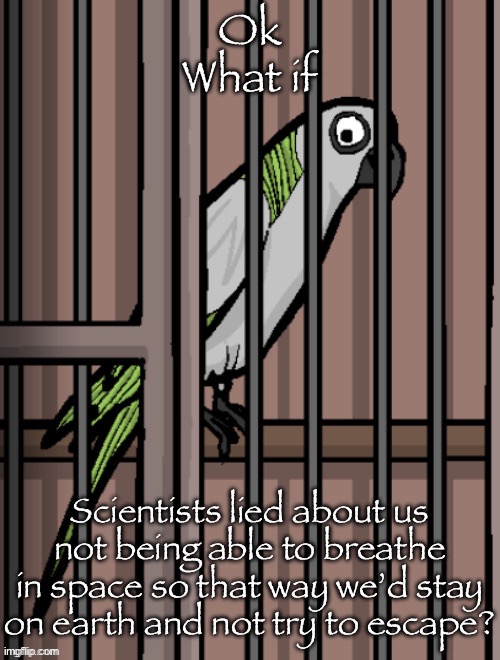 Bird on crack | Ok
What if; Scientists lied about us not being able to breathe in space so that way we’d stay on earth and not try to escape? | image tagged in bird on crack | made w/ Imgflip meme maker
