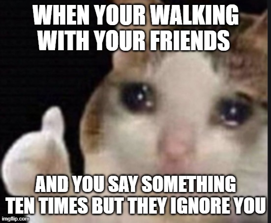 OK I'll go now | WHEN YOUR WALKING WITH YOUR FRIENDS; AND YOU SAY SOMETHING TEN TIMES BUT THEY IGNORE YOU | image tagged in cat crying with thumbs up | made w/ Imgflip meme maker