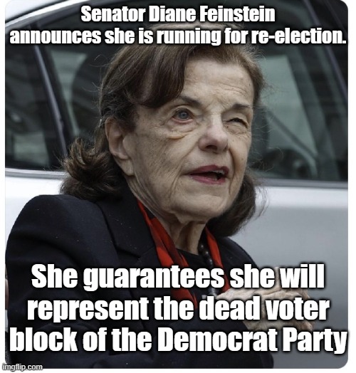 Vote early, vote late, vote often, vote D for Dead! Vote for the party of death so your voice is heard! | Senator Diane Feinstein announces she is running for re-election. She guarantees she will represent the dead voter block of the Democrat Party | image tagged in senator diane feinstein | made w/ Imgflip meme maker