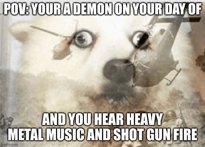 PTSD dog | POV: YOUR A DEMON ON YOUR DAY OF; AND YOU HEAR HEAVY METAL MUSIC AND SHOT GUN FIRE | image tagged in ptsd dog | made w/ Imgflip meme maker