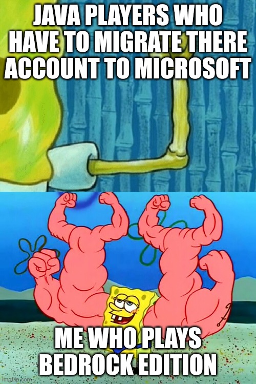 Fr fr | JAVA PLAYERS WHO HAVE TO MIGRATE THERE ACCOUNT TO MICROSOFT; ME WHO PLAYS BEDROCK EDITION | image tagged in armed spongebob | made w/ Imgflip meme maker