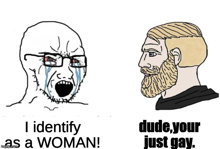 what is it with these gender's anyway!? | dude,your just gay. I identify as a WOMAN! | image tagged in soyboy vs yes chad | made w/ Imgflip meme maker