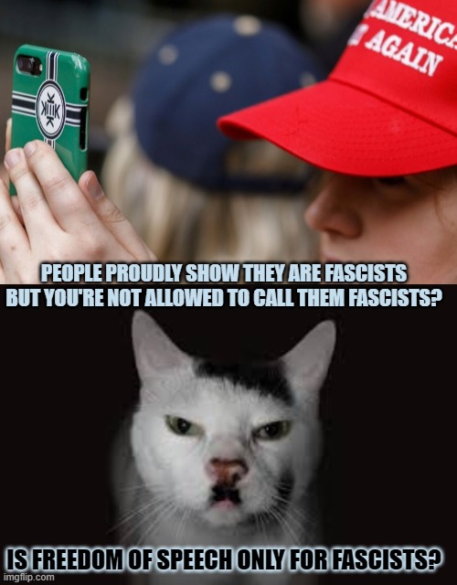 This #lolcat wonders why freedom of speech is only for fascists | PEOPLE PROUDLY SHOW THEY ARE FASCISTS
BUT YOU'RE NOT ALLOWED TO CALL THEM FASCISTS? IS FREEDOM OF SPEECH ONLY FOR FASCISTS? | image tagged in freedom of speech,fascism,fascists | made w/ Imgflip meme maker