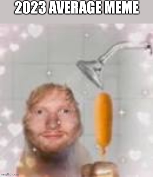 Fr | 2023 AVERAGE MEME | image tagged in ed sheeran holding a corn dog in the shower | made w/ Imgflip meme maker