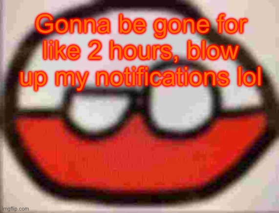 puolen | Gonna be gone for like 2 hours, blow up my notifications lol | image tagged in puolen | made w/ Imgflip meme maker