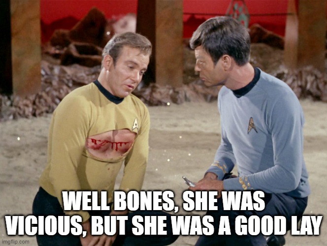 Kirk Got Rough | WELL BONES, SHE WAS VICIOUS, BUT SHE WAS A GOOD LAY | image tagged in ripped uni kirk | made w/ Imgflip meme maker