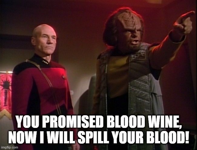 Don't Piss Worf Off | YOU PROMISED BLOOD WINE, NOW I WILL SPILL YOUR BLOOD! | image tagged in worf | made w/ Imgflip meme maker