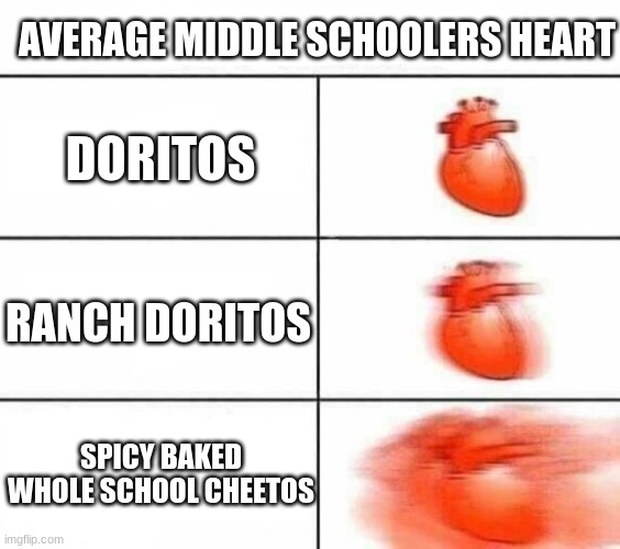 fr | AVERAGE MIDDLE SCHOOLERS HEART; DORITOS; RANCH DORITOS; SPICY BAKED WHOLE SCHOOL CHEETOS | image tagged in my heart blank,yes,fr | made w/ Imgflip meme maker