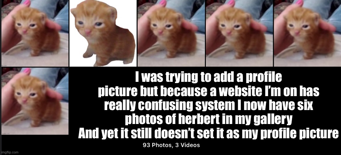 Goddamn | I was trying to add a profile picture but because a website I’m on has really confusing system I now have six photos of herbert in my gallery
And yet it still doesn’t set it as my profile picture | made w/ Imgflip meme maker