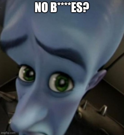 Megamind no bitches | NO B****ES? | image tagged in megamind no bitches | made w/ Imgflip meme maker