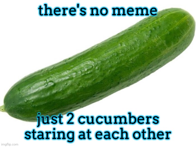 Cucumber | there's no meme; just 2 cucumbers staring at each other | image tagged in cucumber | made w/ Imgflip meme maker