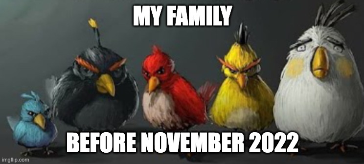 2019-2022 | MY FAMILY; BEFORE NOVEMBER 2022 | image tagged in they | made w/ Imgflip meme maker