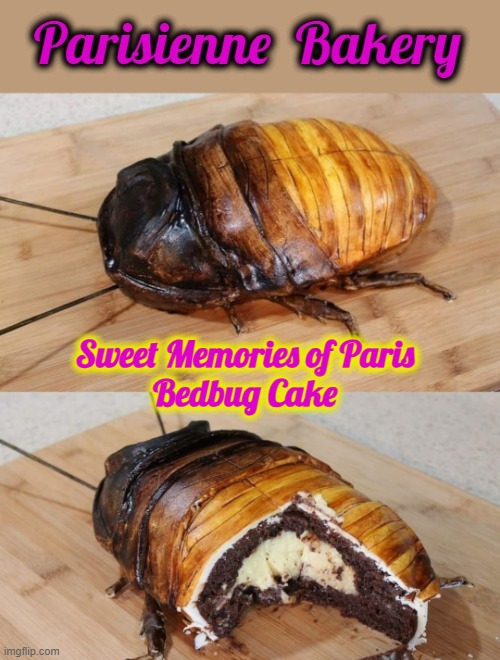 Memories of Paris | Sweet Memories of Paris
Bedbug Cake | image tagged in bedbugs | made w/ Imgflip meme maker