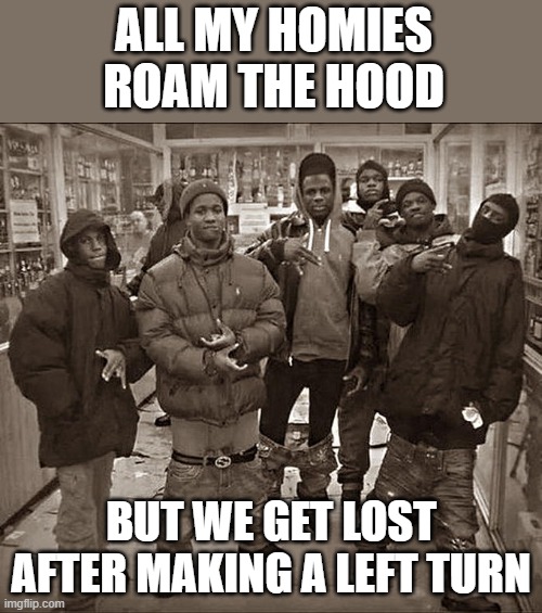 left or right? | ALL MY HOMIES ROAM THE HOOD; BUT WE GET LOST AFTER MAKING A LEFT TURN | image tagged in all my homies hate | made w/ Imgflip meme maker