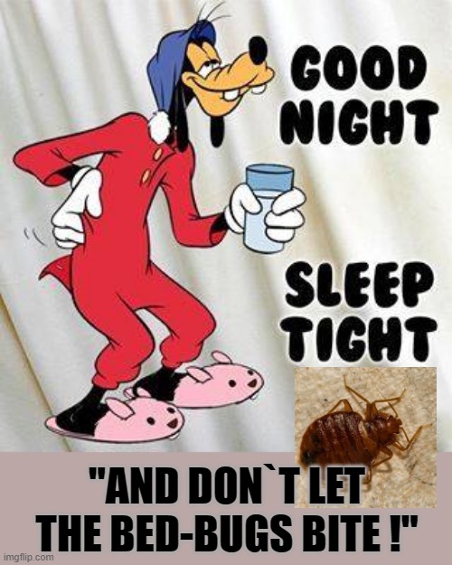 Bed bugs | "AND DON`T LET
THE BED-BUGS BITE !" | image tagged in bite | made w/ Imgflip meme maker