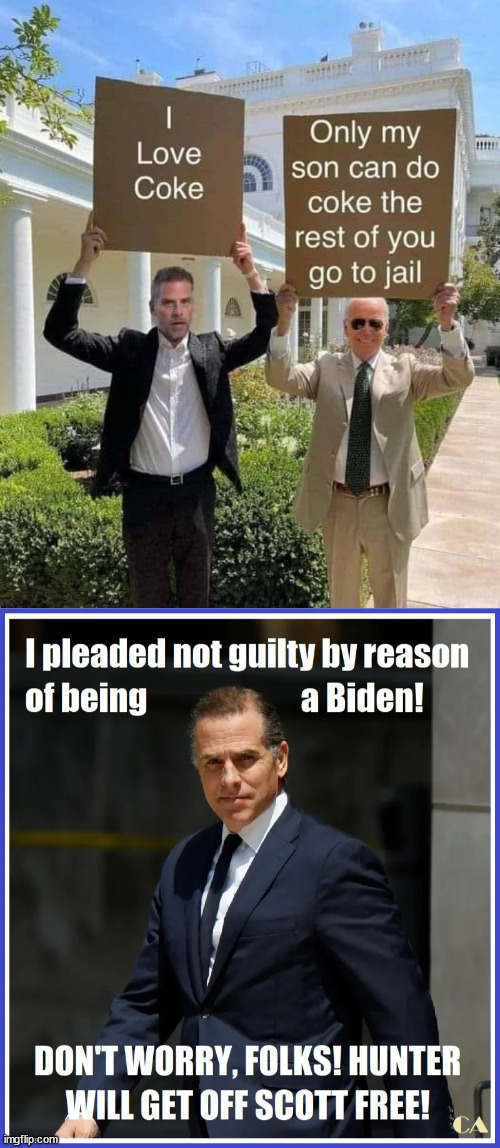 democrats - Nobody is above the law... LOL | image tagged in american,double standards | made w/ Imgflip meme maker