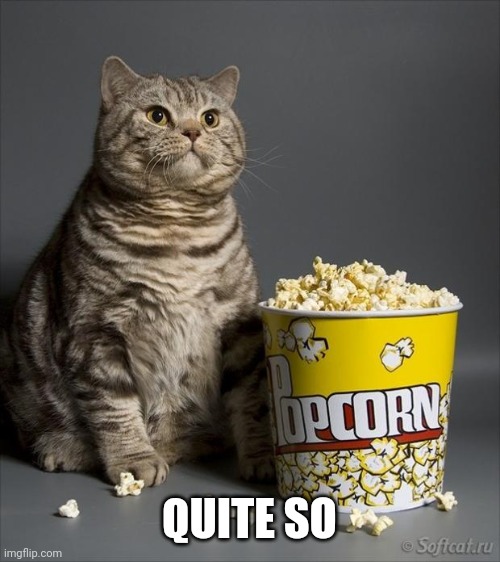 Cat eating popcorn | QUITE SO | image tagged in cat eating popcorn | made w/ Imgflip meme maker