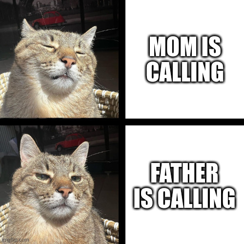 Mom is calling vs Father is calling | MOM IS CALLING; FATHER IS CALLING | image tagged in stepan cat,mom,mother,dad,father | made w/ Imgflip meme maker