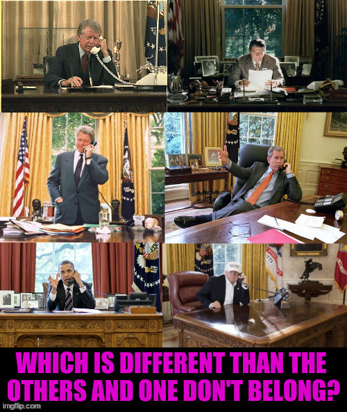 Which doesn't belong? | image tagged in resalute desk,one is wrong and don't belong,maga,fraudster,trump | made w/ Imgflip meme maker