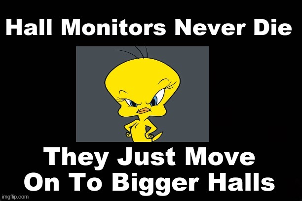 HALL MONITORS NEVER DIE...THEY JUST MOVE ON TO BIGGER HALLS. | image tagged in tweety bird | made w/ Imgflip meme maker