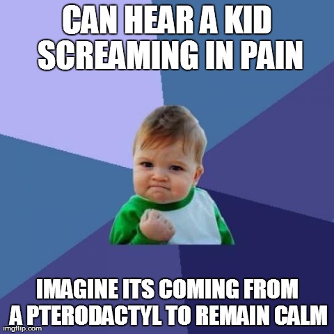 Success Kid | CAN HEAR A KID SCREAMING IN PAIN IMAGINE ITS COMING FROM A PTERODACTYL TO REMAIN CALM | image tagged in memes,success kid,AdviceAnimals | made w/ Imgflip meme maker