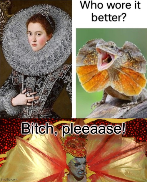 Bitch, pleeeaase! | Bitch, pleeaase! | image tagged in lizard,who wore it better | made w/ Imgflip meme maker